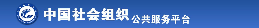 屄屄视频全国社会组织信息查询